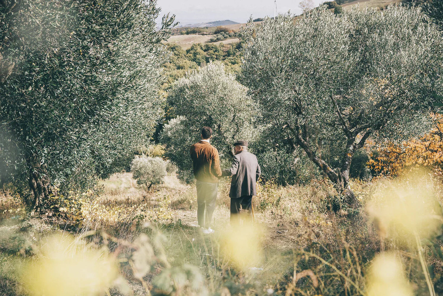 Olivenöl von Francesco Cillo