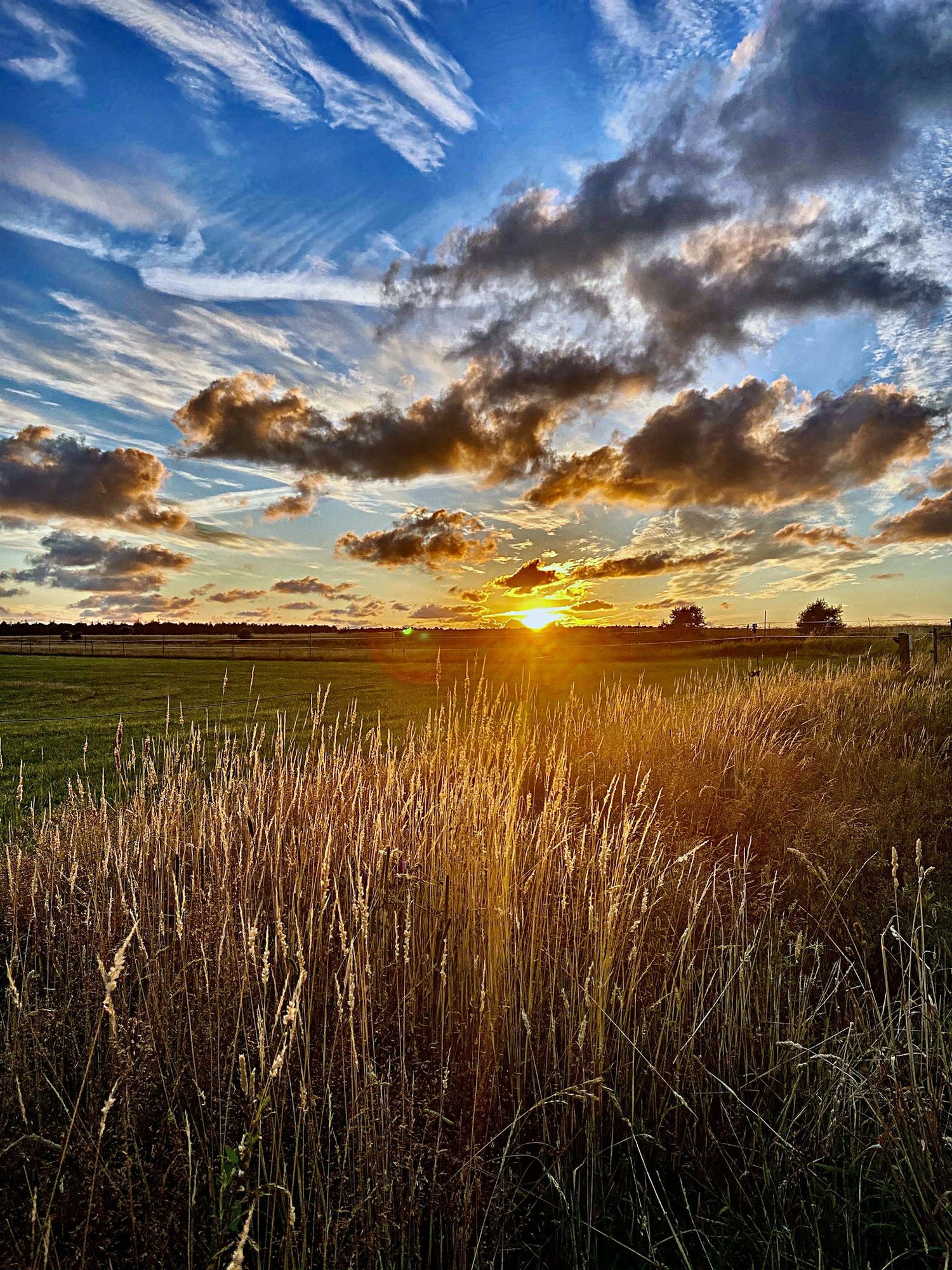 Urlaub auf Amrum? GUNDT HOME x GUNDT APARTMENTS Amrum