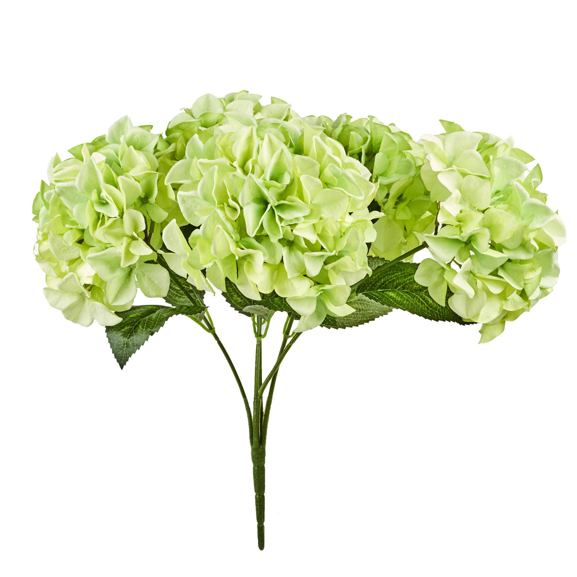 Hortensienbusch, 5 Blüten, L45cm, Hellgrün - GUNDT HOME
