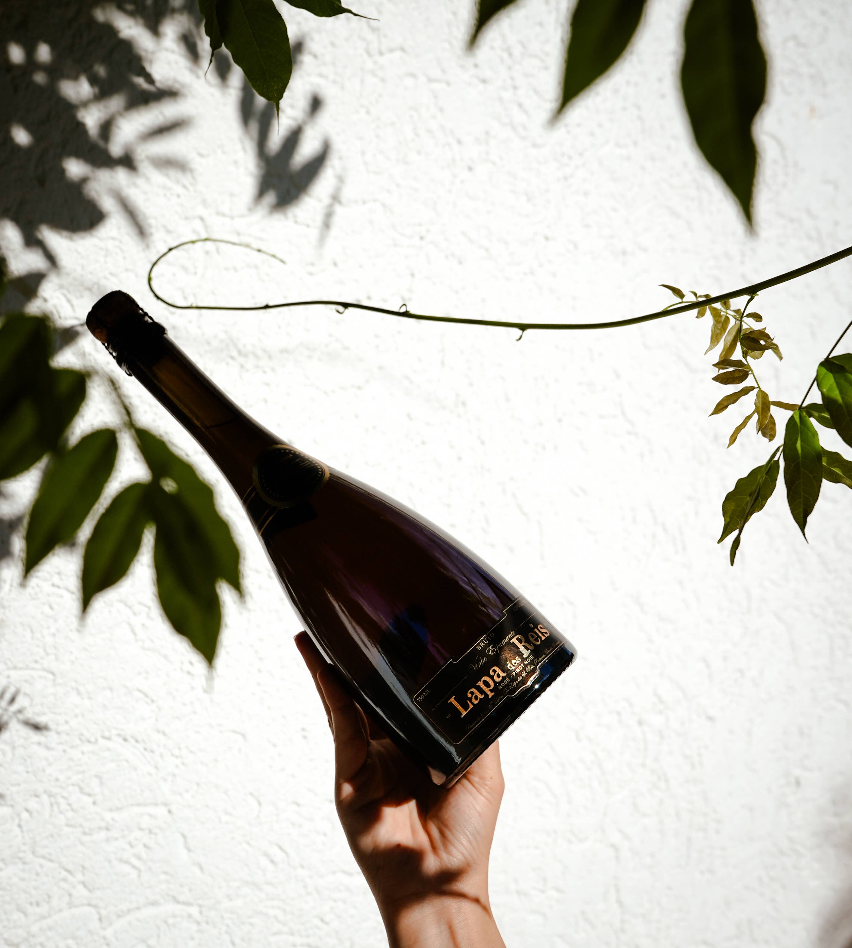 Lapa dos Reis Rose Sekt brut | Sekt aus Portugal