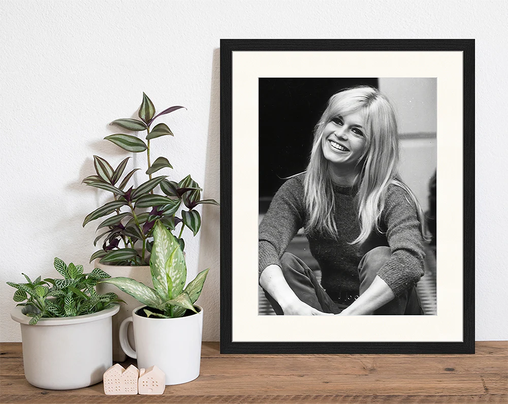 Brigitte Bardot smiling - GUNDT HOME