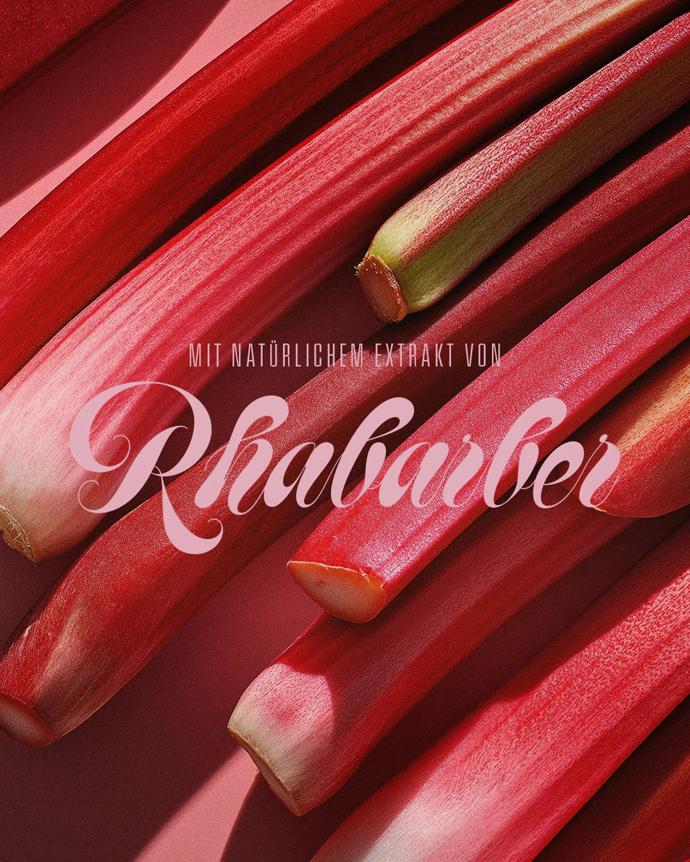 Aperitif Rhabarber x Rosmarin - GUNDT HOME