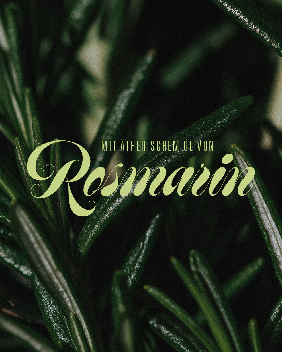 Aperitif Rhabarber x Rosmarin - GUNDT HOME
