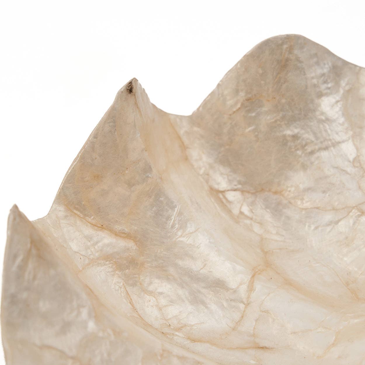 Die Perlmutt-Seifenschale - Weiß - S - GUNDT HOME