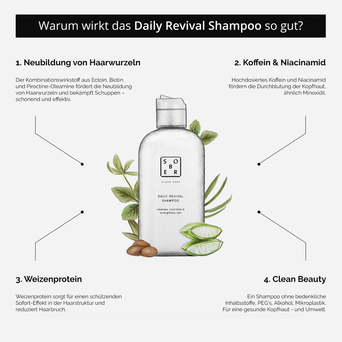 Daily Revival Shampoo