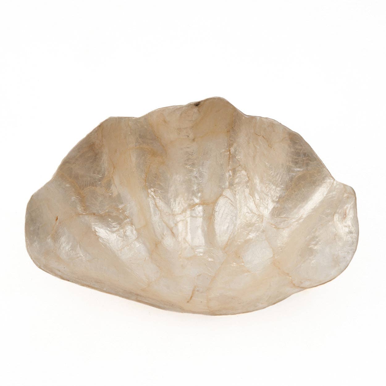 Die Perlmutt-Seifenschale - Weiß - S - GUNDT HOME