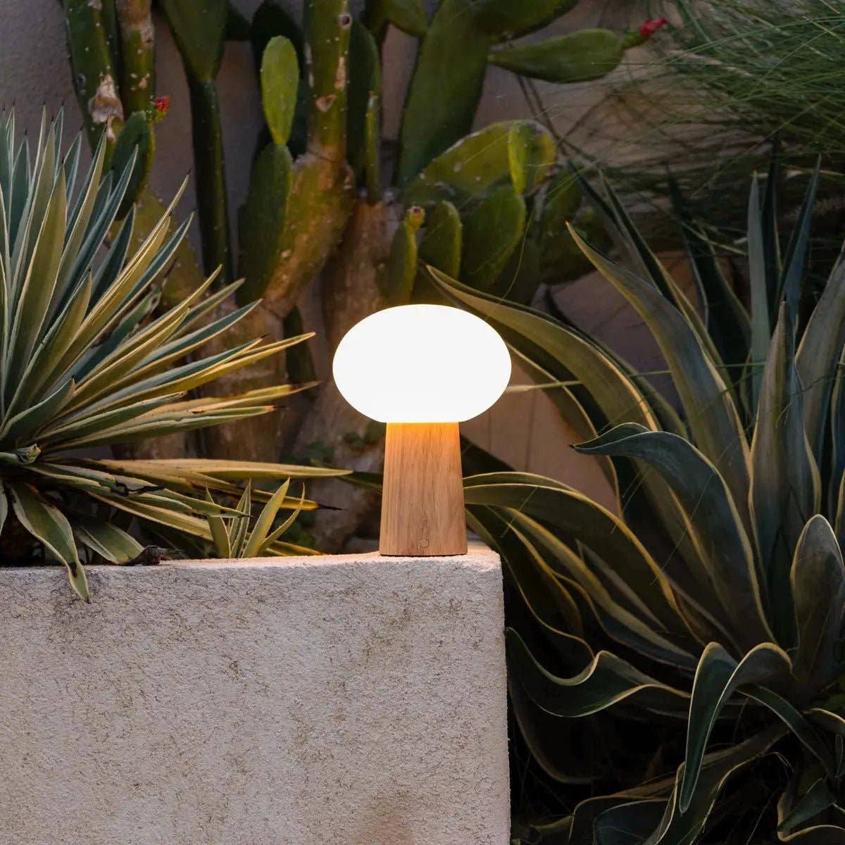 Max Leichte Braun Holzlose Tischlampe | Wiederaufladbar, Glas & Nachhaltiges Design - GUNDT HOME