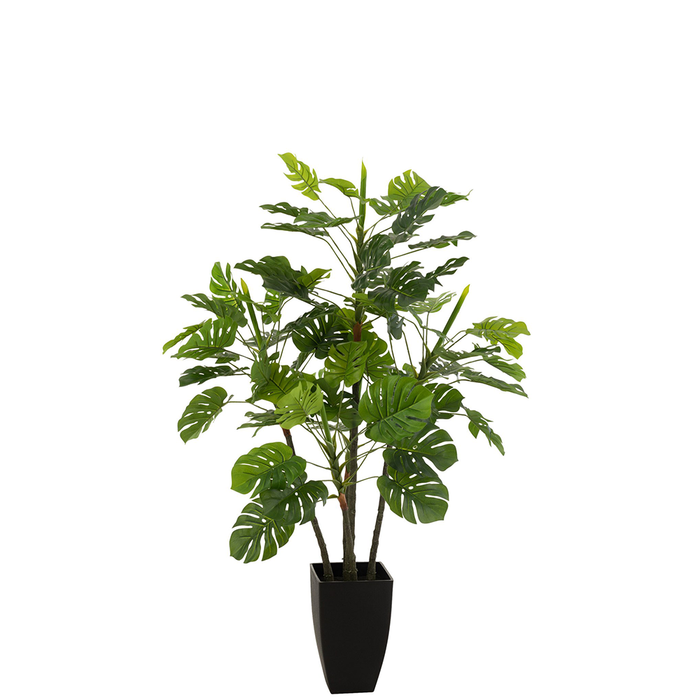 J-Line Philodendron im Topf Kunststoff grün groß