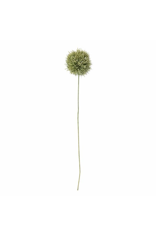 Allium Stiel, Grün, Künstliche Blumen - GUNDT HOME