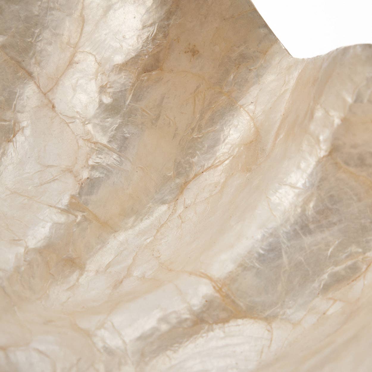 Die Perlmutt-Seifenschale - Weiß - S - GUNDT HOME