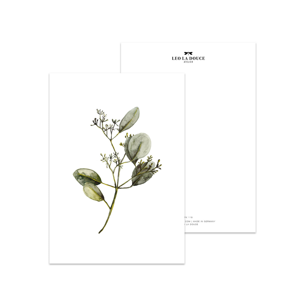 Postkarte -  Eucalyptus with blossoms