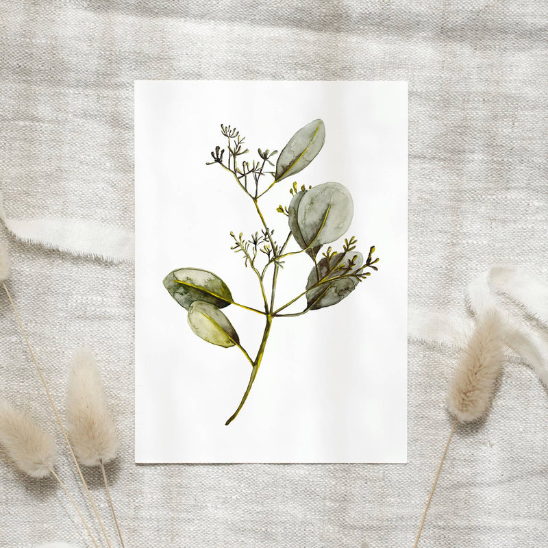 Postkarte -  Eucalyptus with blossoms