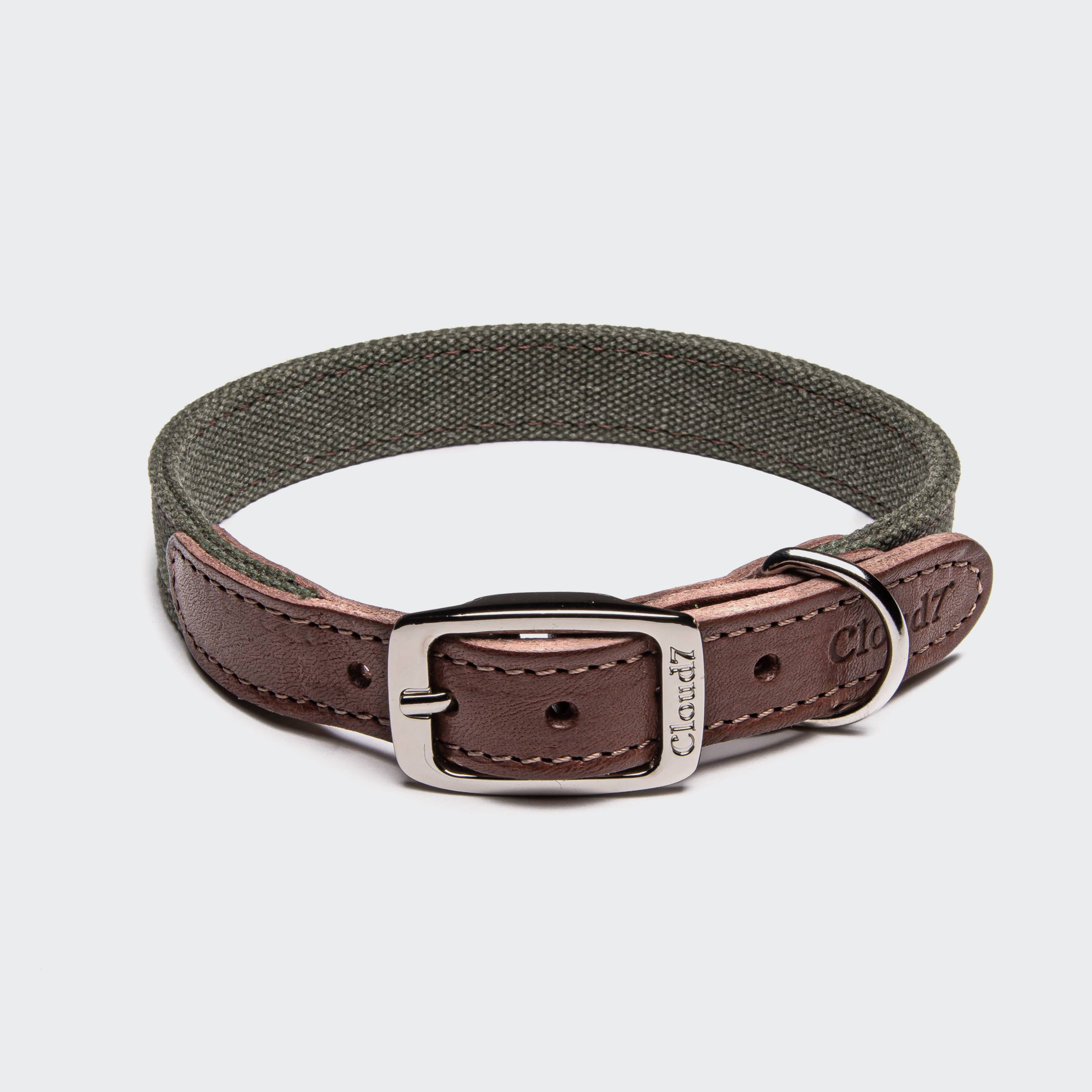 Hundehalsband Tivoli Olive