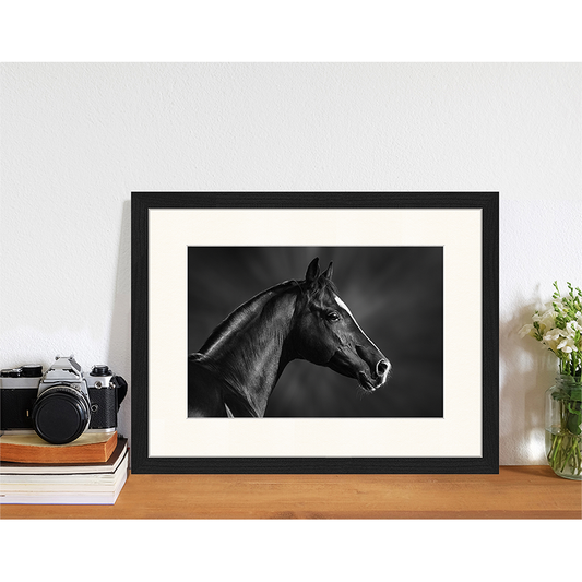 Gerahmter Digitaldruck Black Horse
