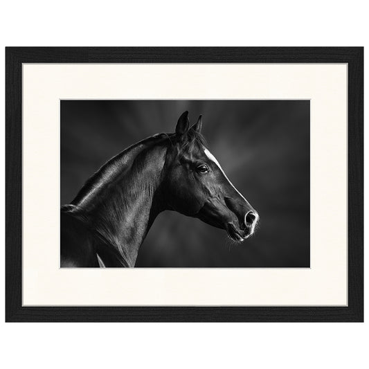 Gerahmter Digitaldruck Black Horse