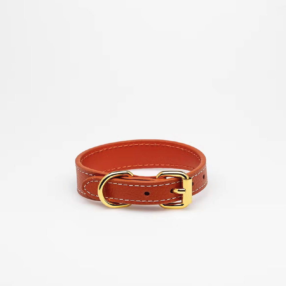 Hundehalsband Leder cognac